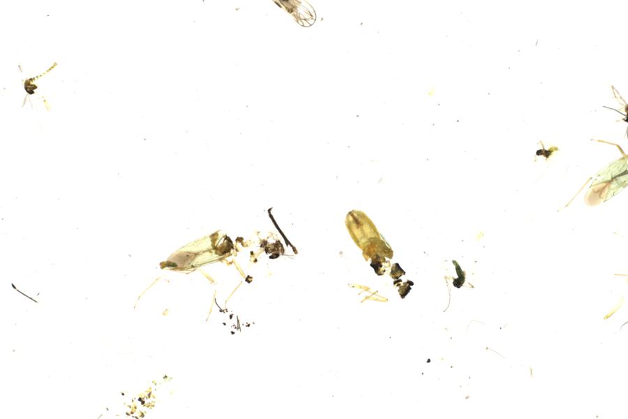 Image 23
